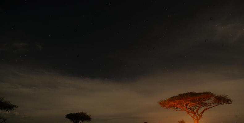 Olmara Camp - Bush dinner