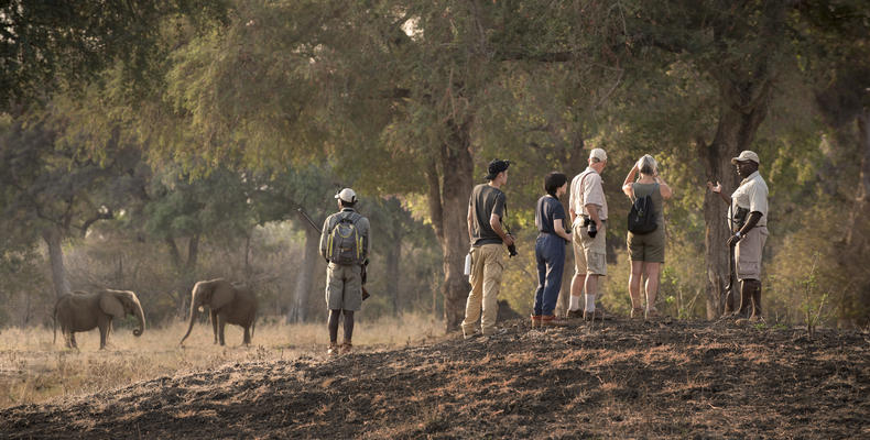 Zambezi Expeditions 