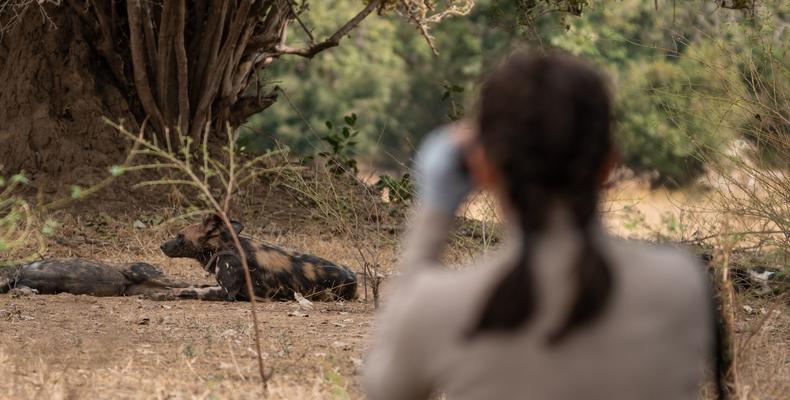 Zambezi Expeditions Walking safari