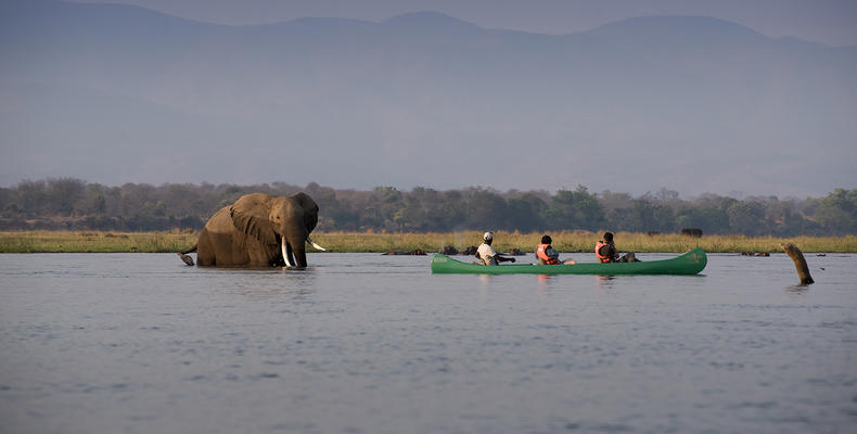 Zambezi Expeditions