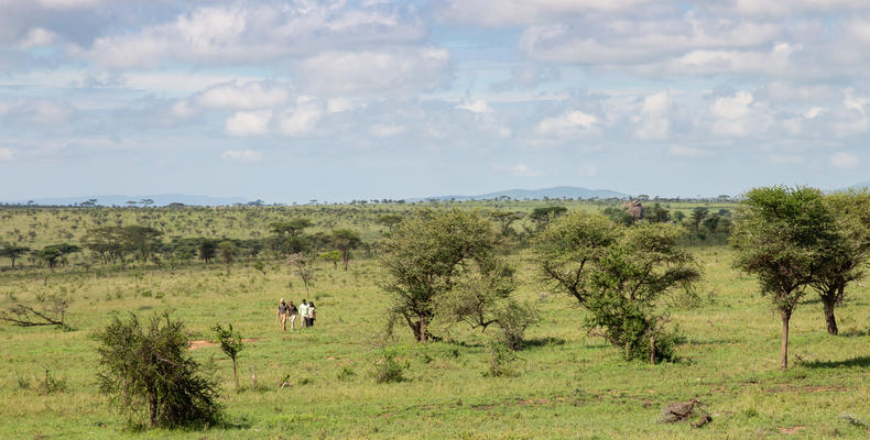 Lemala Kuria Hills Lodge