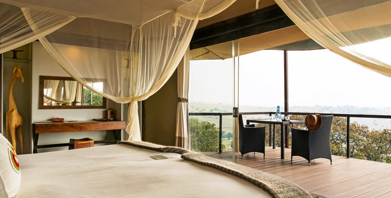 Standard Suite