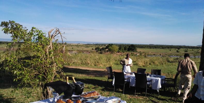 Bush Breakfast