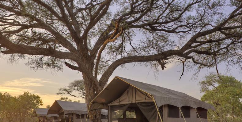 Savute Under Canvas