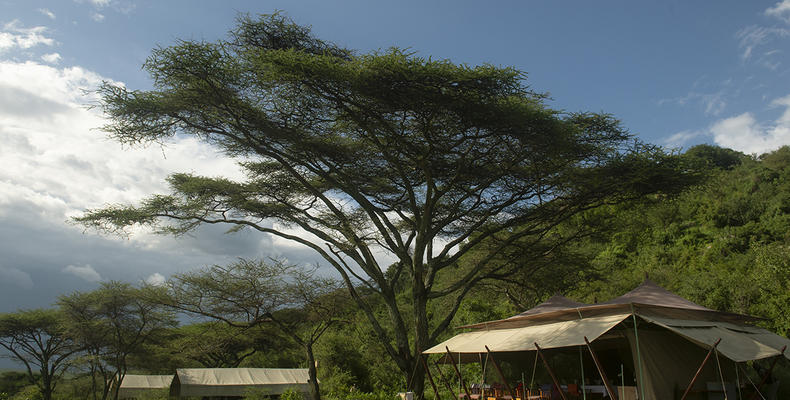 Esirai Camp (South)