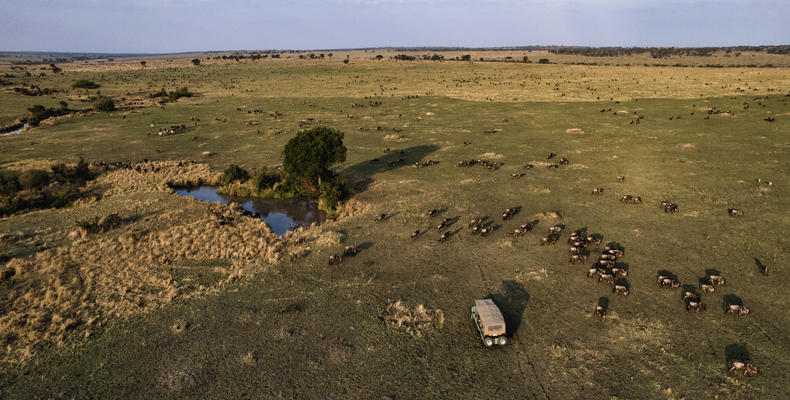 Wildebeest Migration - Esirai Camp