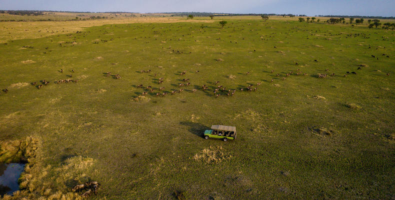 Esirai  Camp