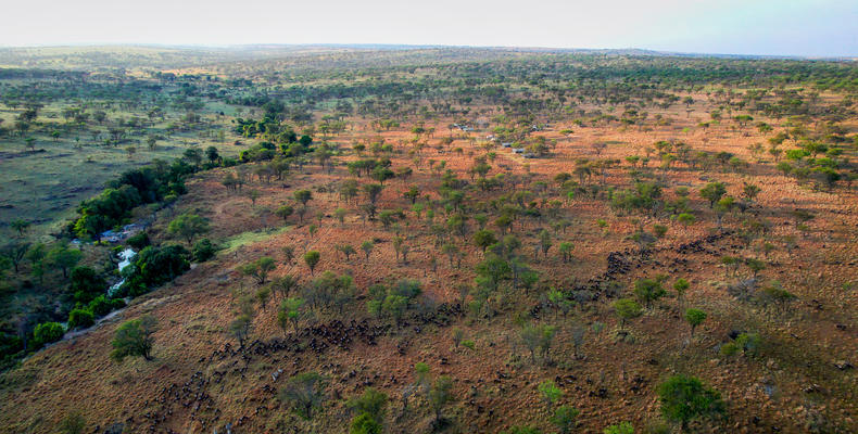Esirai Camp (North)