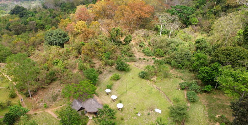 Hondo Hondo, Udzungwa Forest Camp 