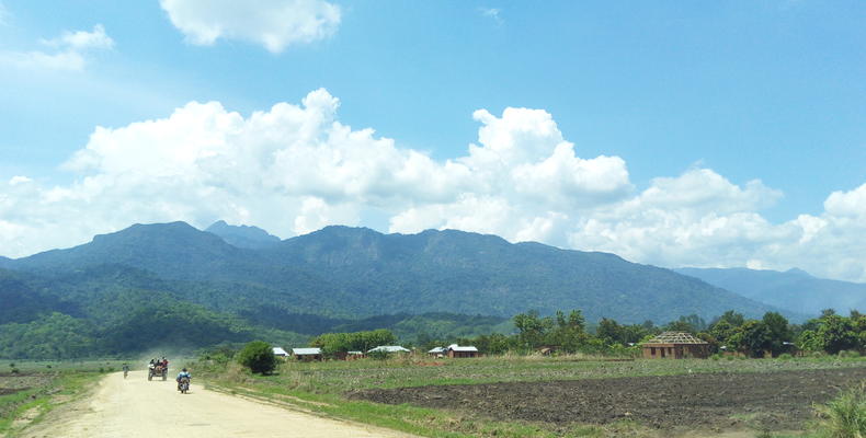 Udzungwa Mountains