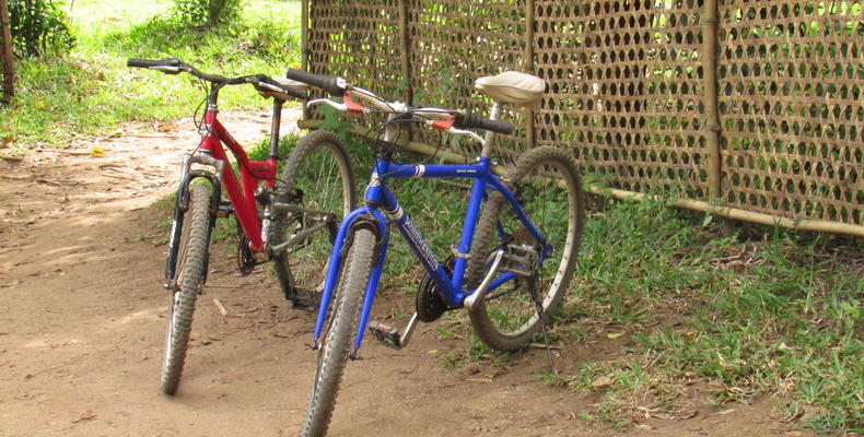 Bike Hire