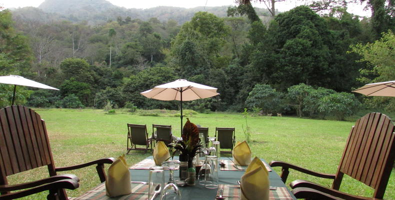 Canapy Bar & Restaurant