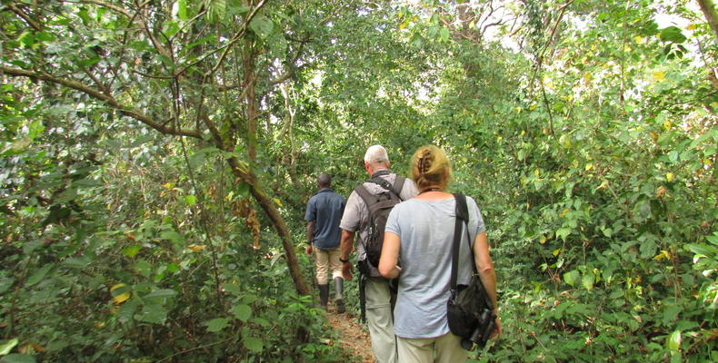 Magombera Forest