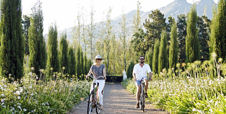 Cycle into town
