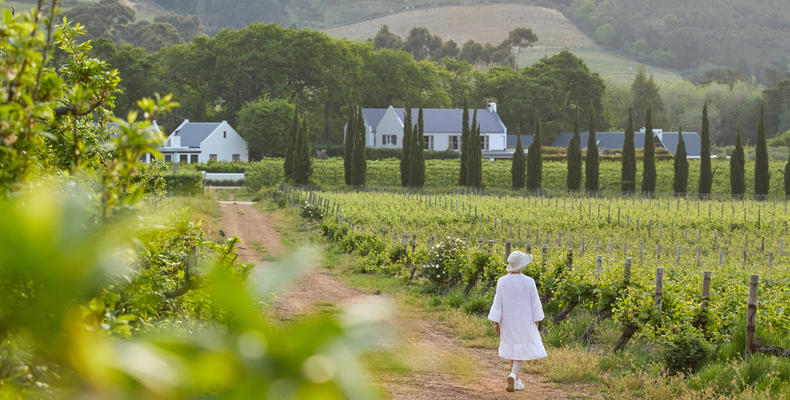 Stroll the La Clé vineyards