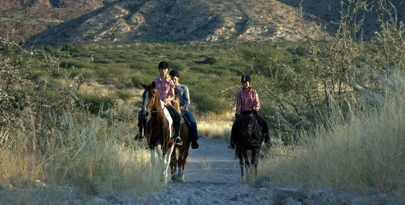 Horse Riding 