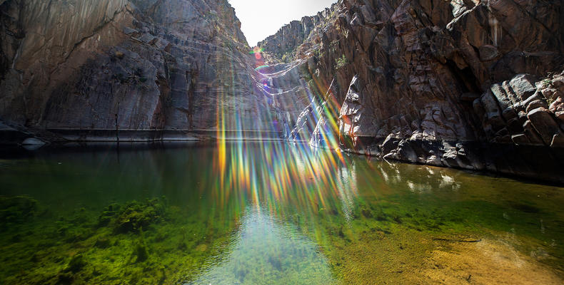 Water in the Namib Desert