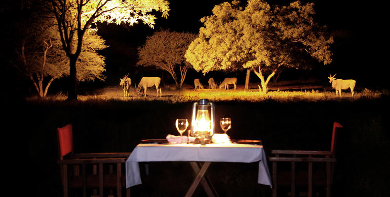 Dinner close to the waterhole