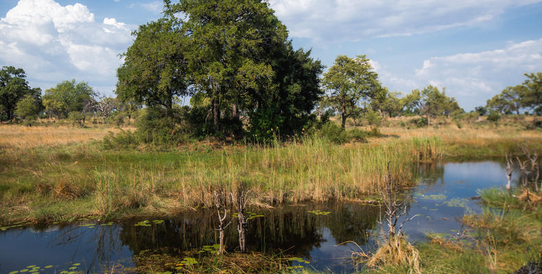 Nkasa river channels