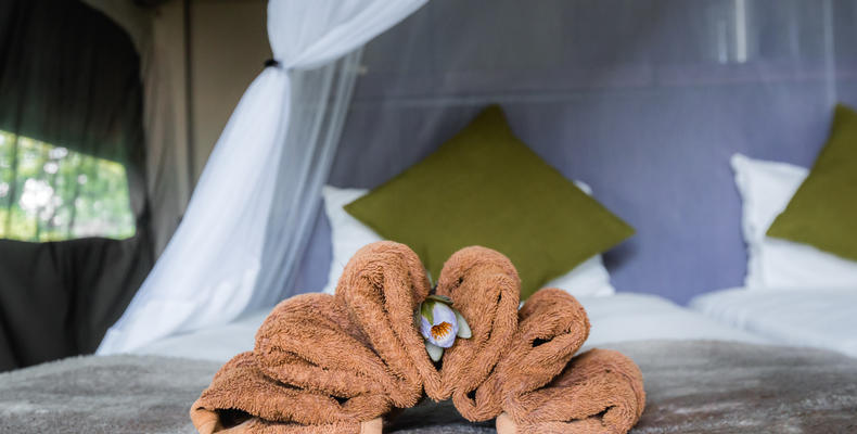 Towel decorations