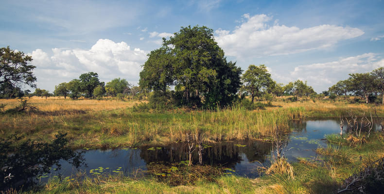 Nkasa Rupara National Park