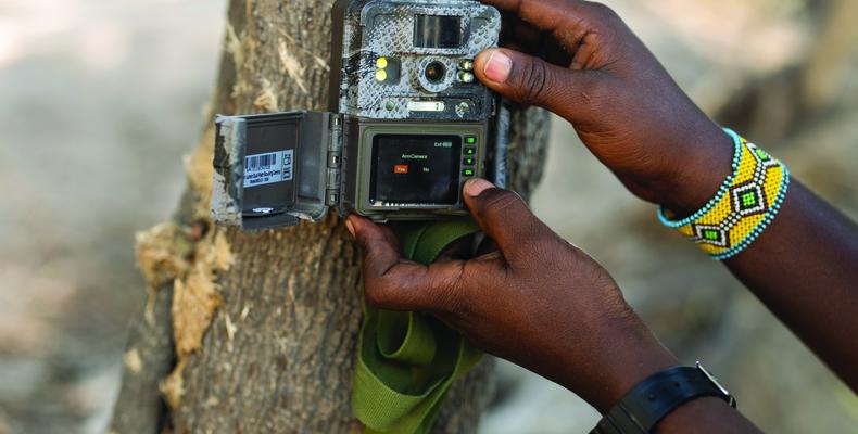 Usangu Expedition Camp - Setting Up the Camera Trap