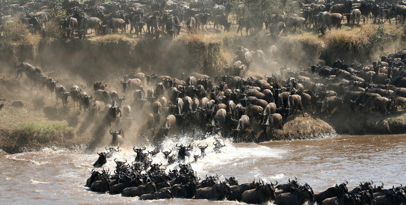 The Great Migration