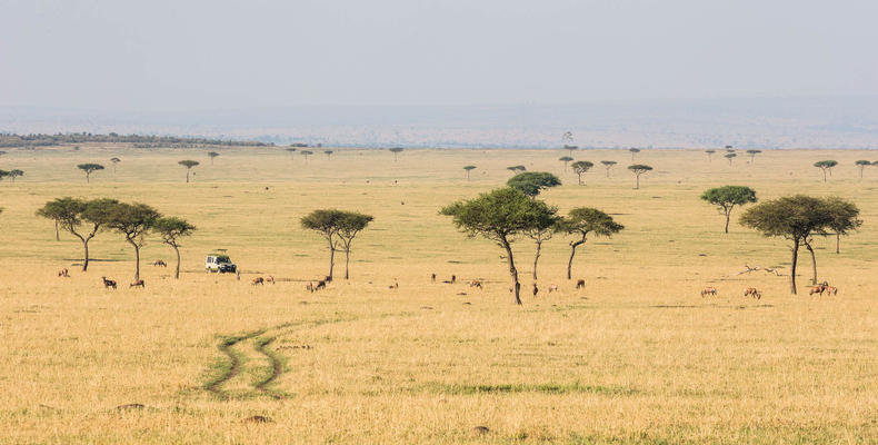 Songa Migrational Camp