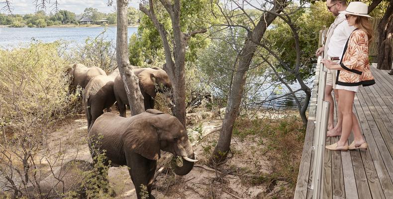 Victoria Falls River Lodge - Island Treehouse Suites