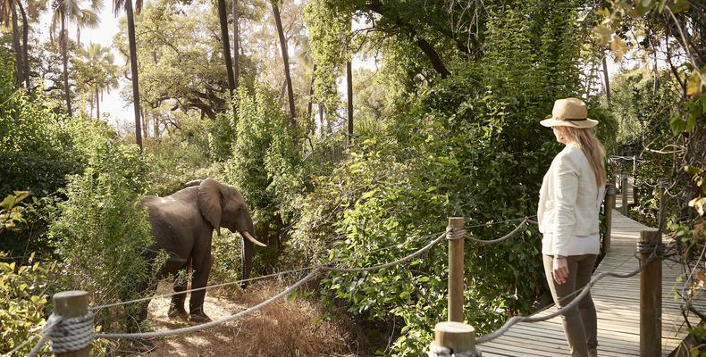 Victoria Falls River Lodge