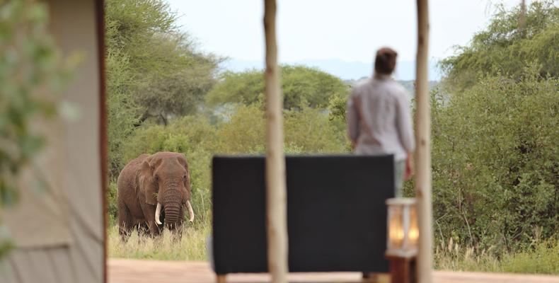 Visitors to Camp