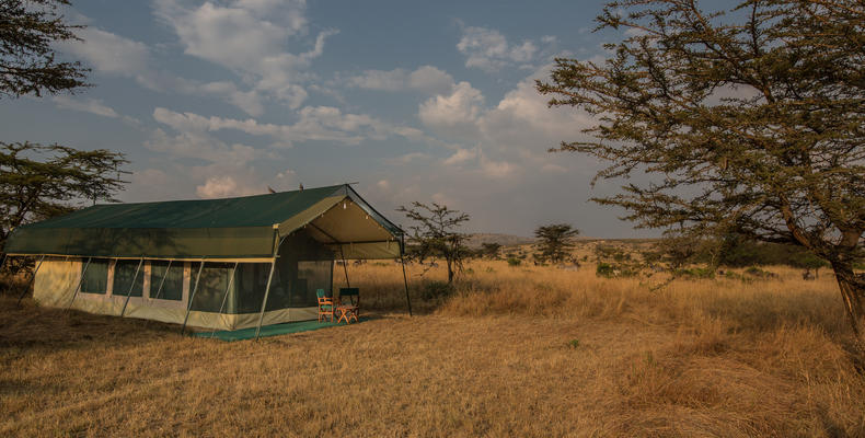 Guest tent