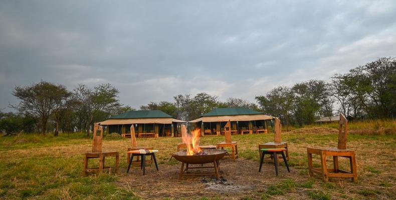 Main Area