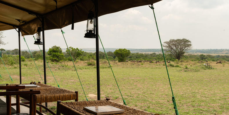 Dining Tent