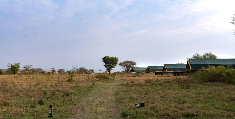 Camp layout