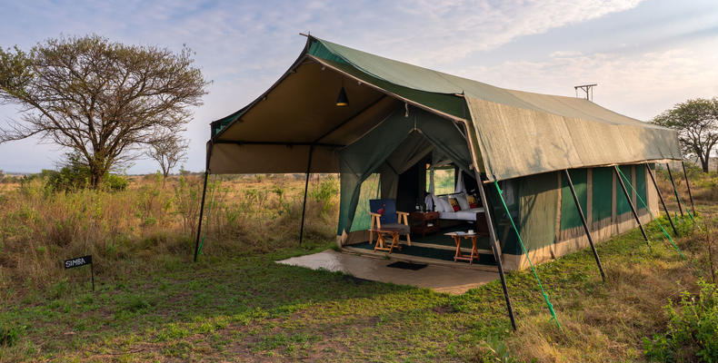 Guest tent