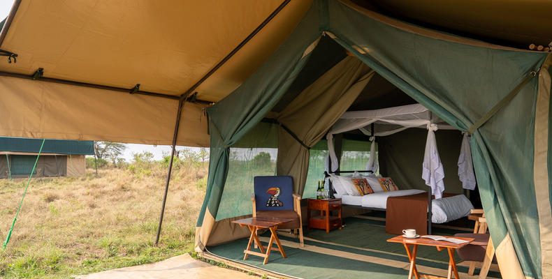 Guest tent