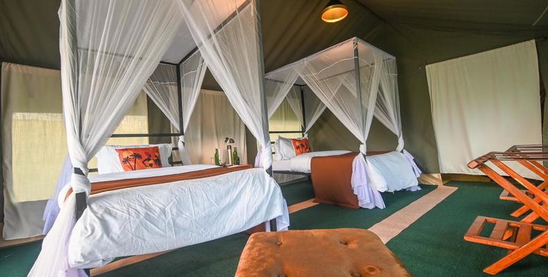 Guest Tent