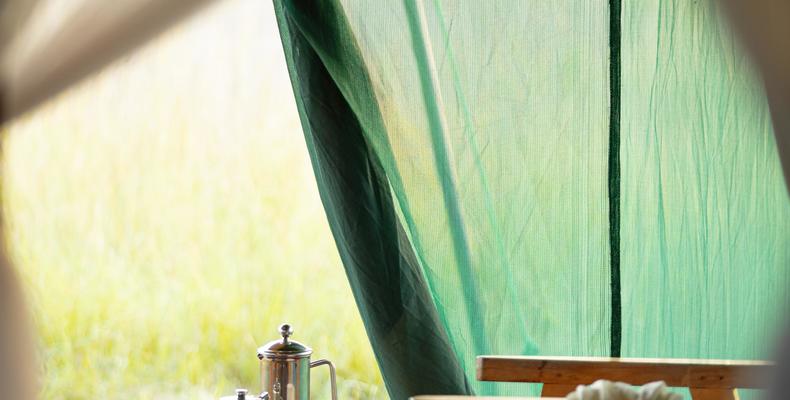 Guest Tent - Morning Coffee