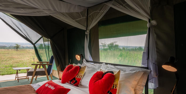 Honeymoon Tent