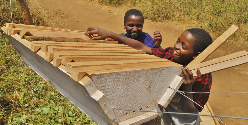 Shu'mata Camp Activity