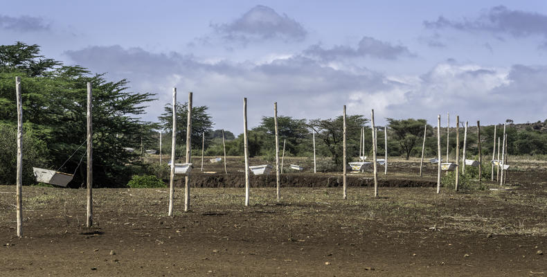 Shu'mata Camp Activity