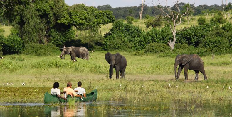 Chobe River Camp