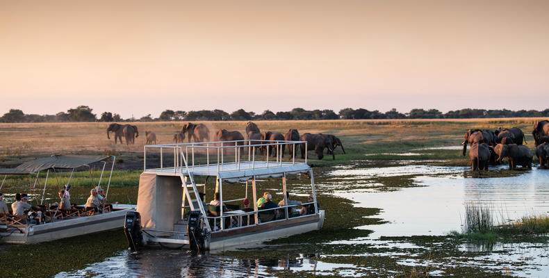 Chobe River Camp