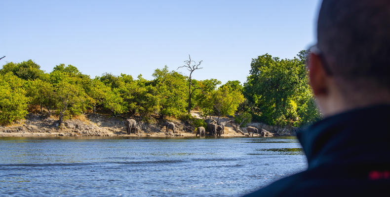 Chobe River Camp