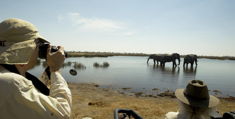 Selinda Explorers Camp Game Drive