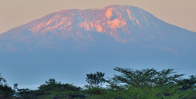 Kilimanjaro