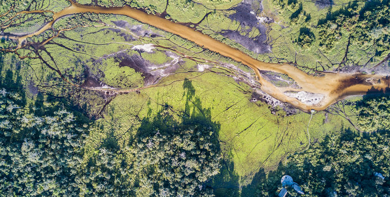 Lango Lodge - Kamba African Rainforest Experiences