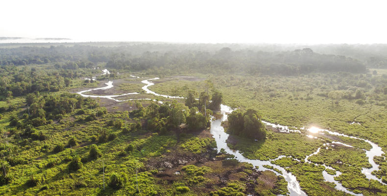 Lango Lodge - Kamba African Rainforest Experiences
