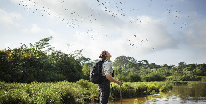 Lango Lodge - Kamba African Rainforest Experiences